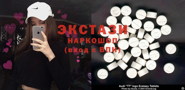 индика Медвежьегорск