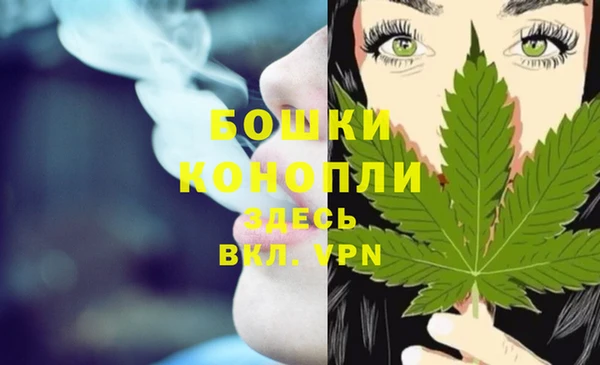 стафф Магадан
