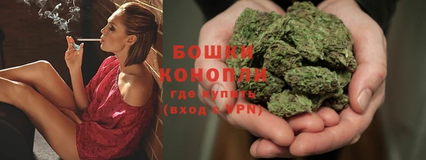 spice Медногорск
