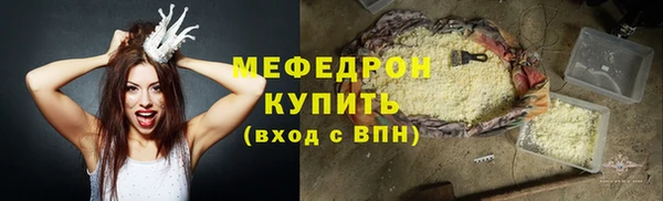индика Медвежьегорск