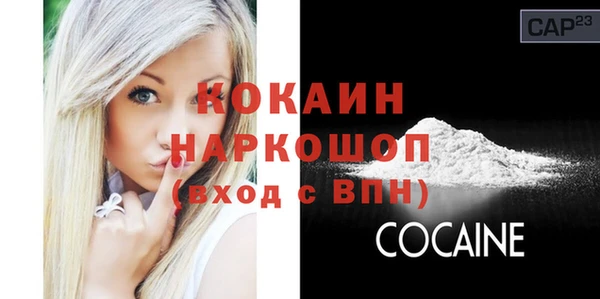 индика Медвежьегорск