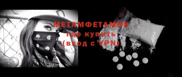 индика Медвежьегорск