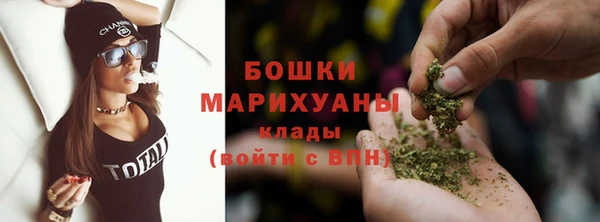 индика Медвежьегорск