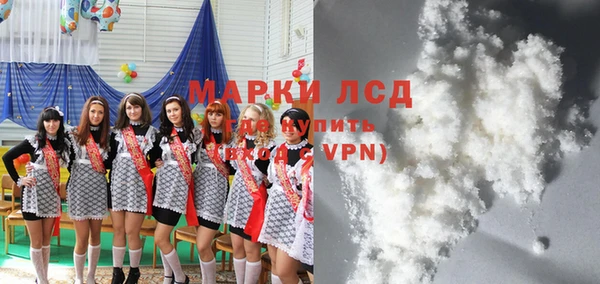 индика Баксан