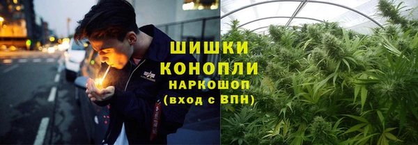 spice Медногорск