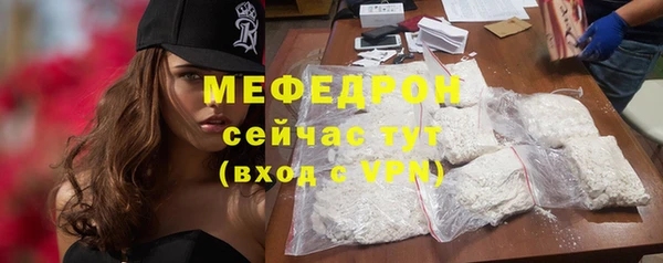 индика Архангельск
