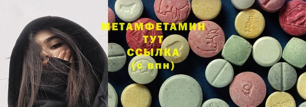 PSILOCYBIN Ельня