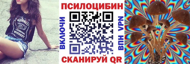 Псилоцибиновые грибы прущие грибы  Бобров 